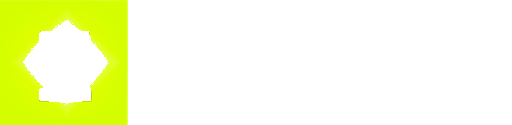Vizion